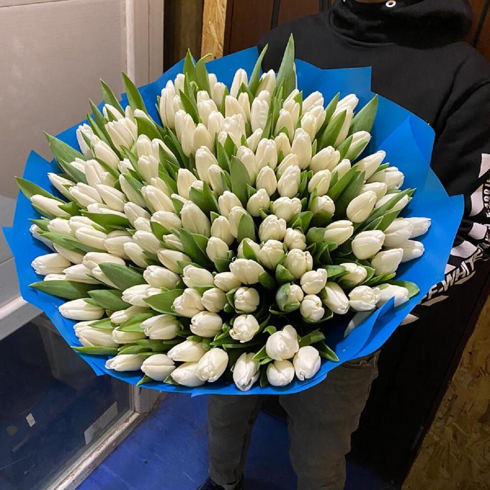 151 white tulips