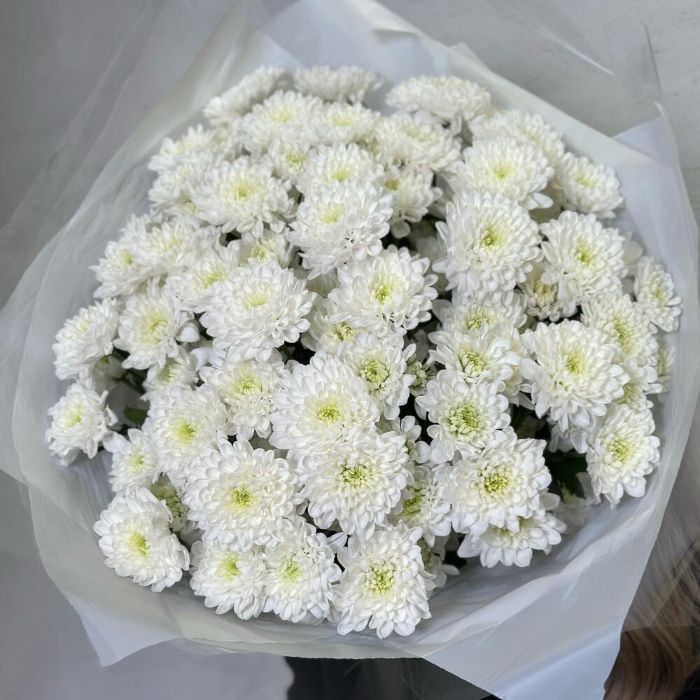 Букет белых кустовых хризантем сорта Алтай, 15шт. (М006)
