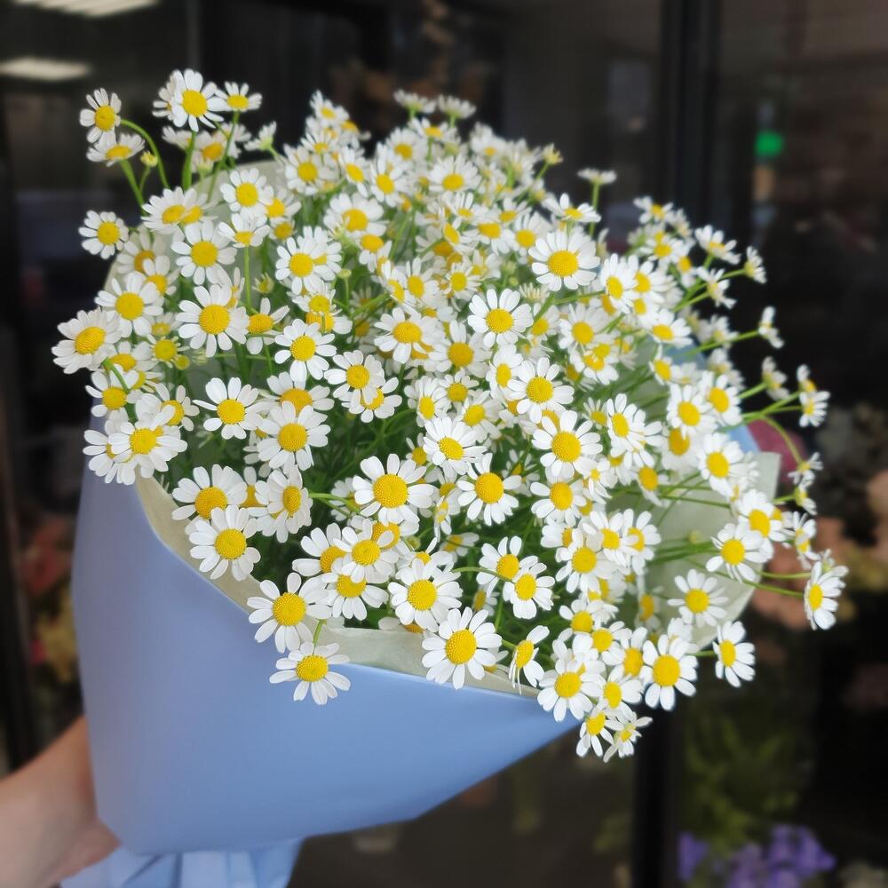 Букет из ромашек