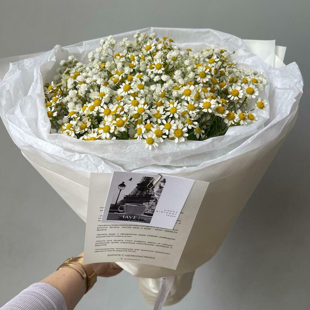 Ромашки 10