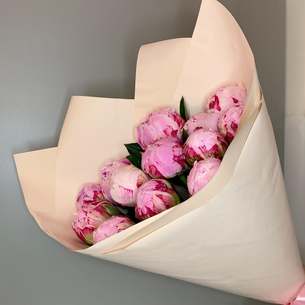 Peonies 13