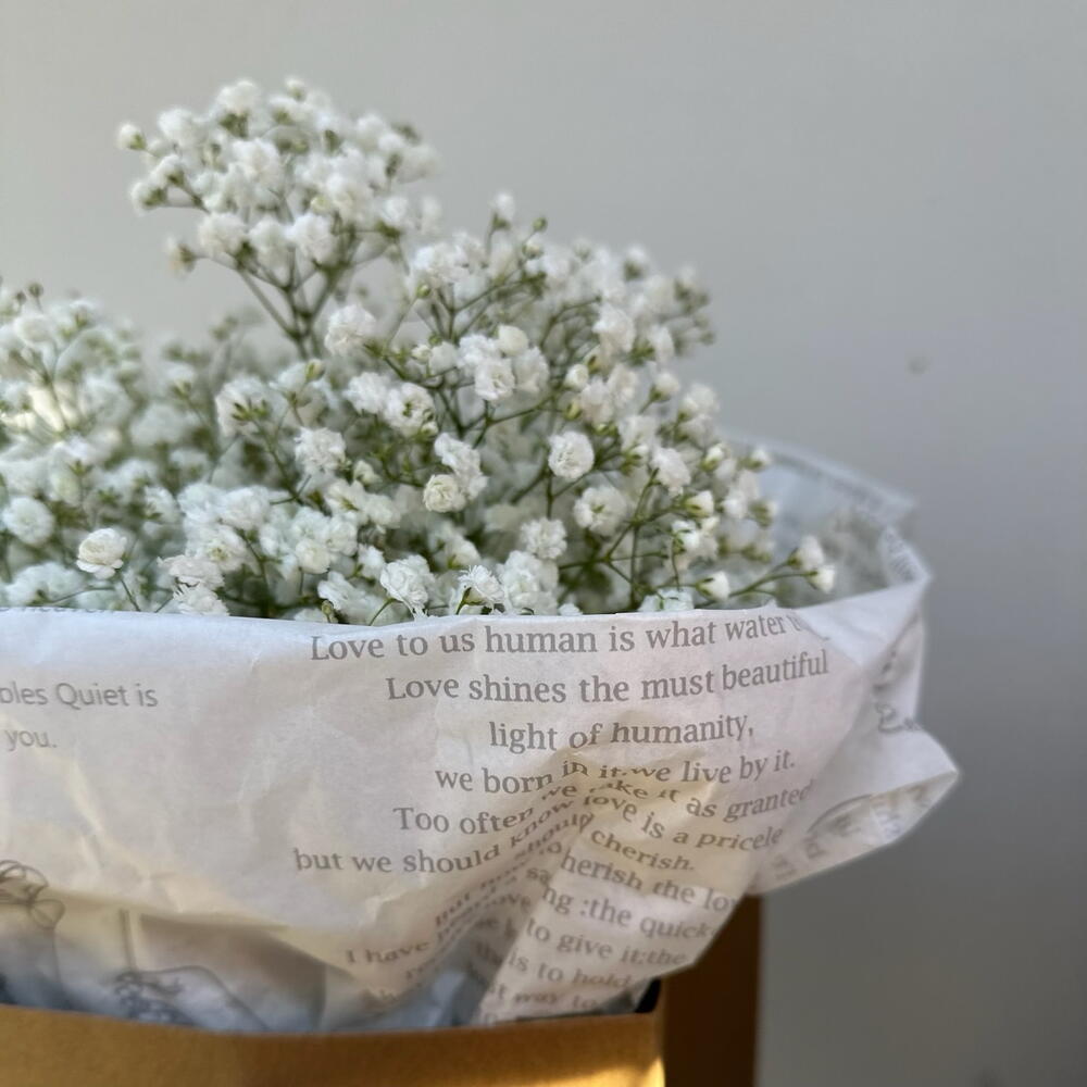 Countess Gypsophila (in a craft package)
