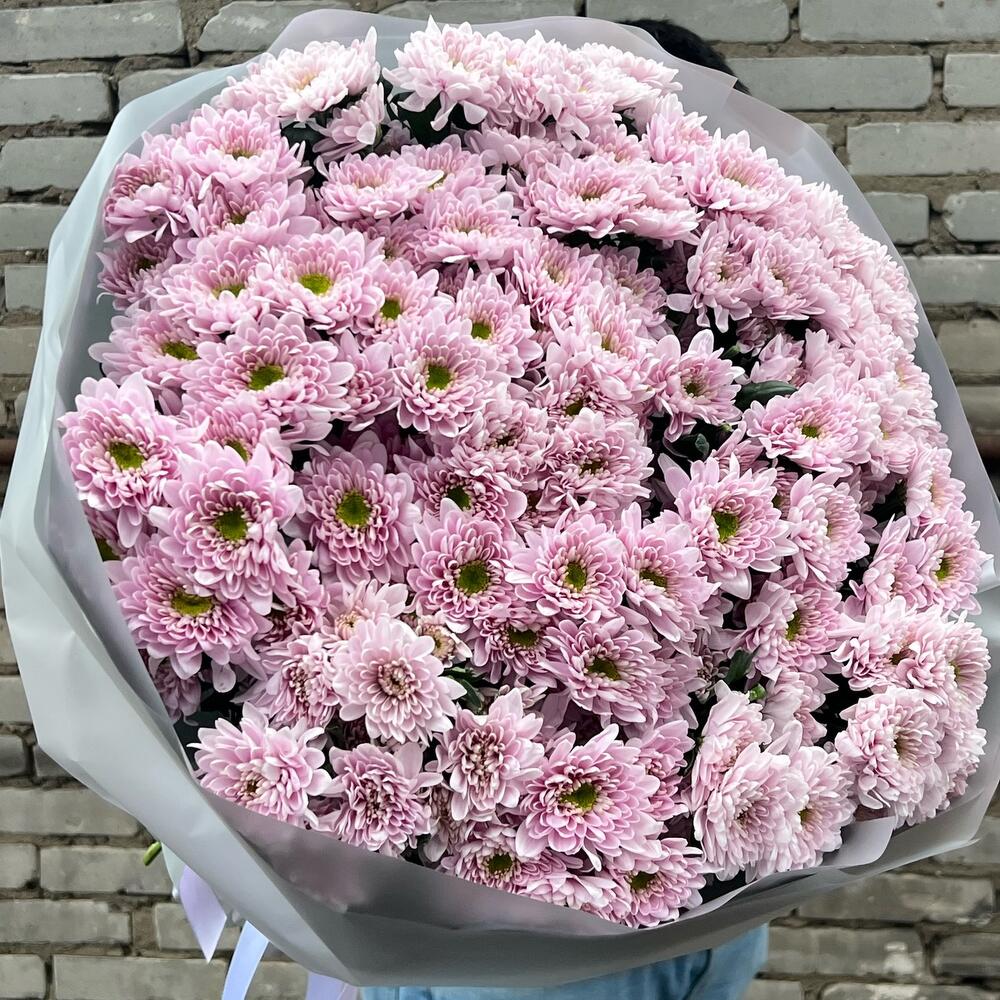 Хризантемы 🌸