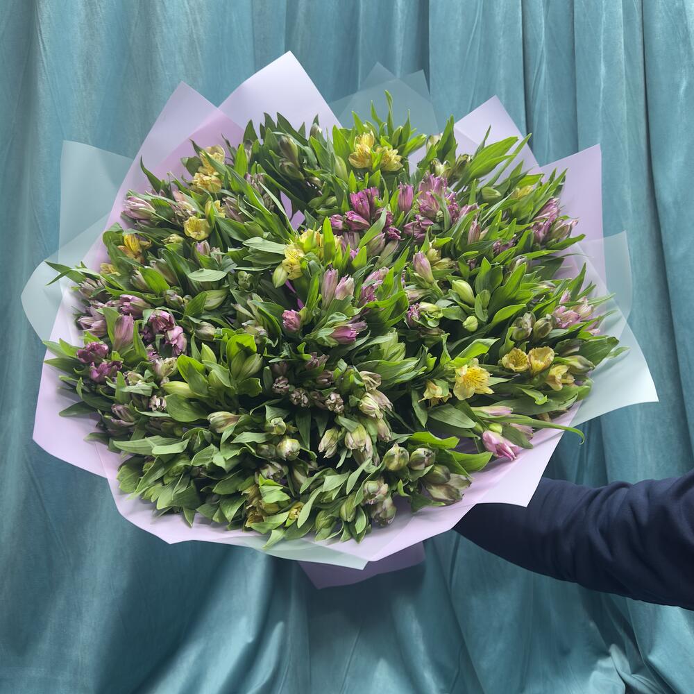 Альстромерия микс