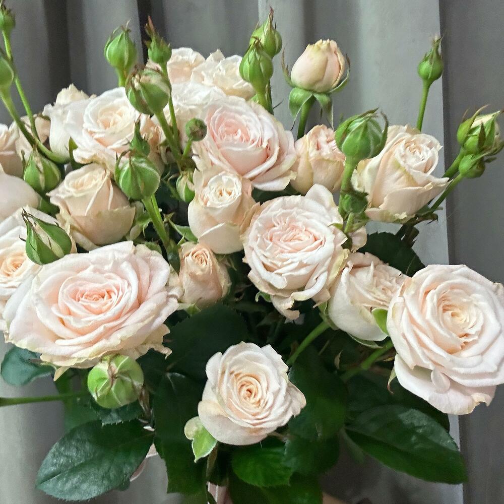 Букет комплимент из кустовых роз 🤍🌸