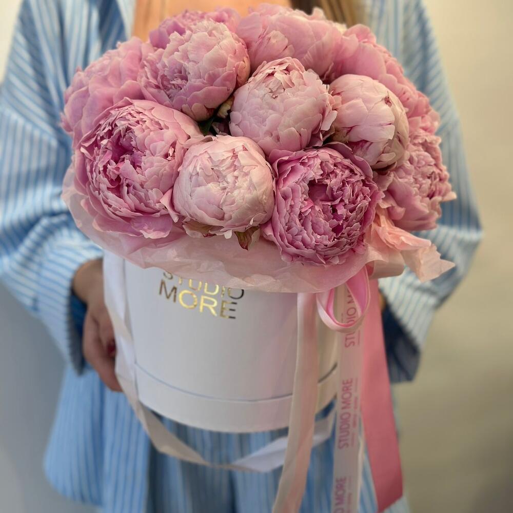 Пион Сара Бернар в коробке 🌸