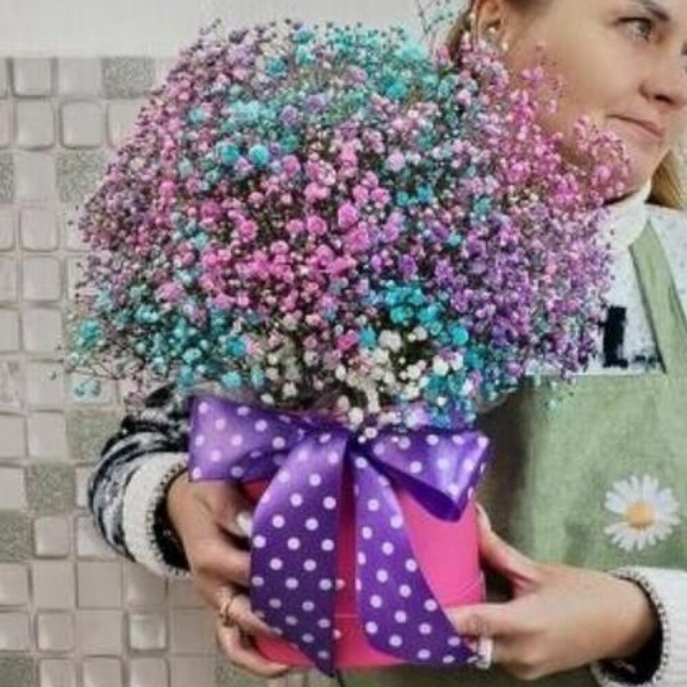 Гипсафильная коробочка