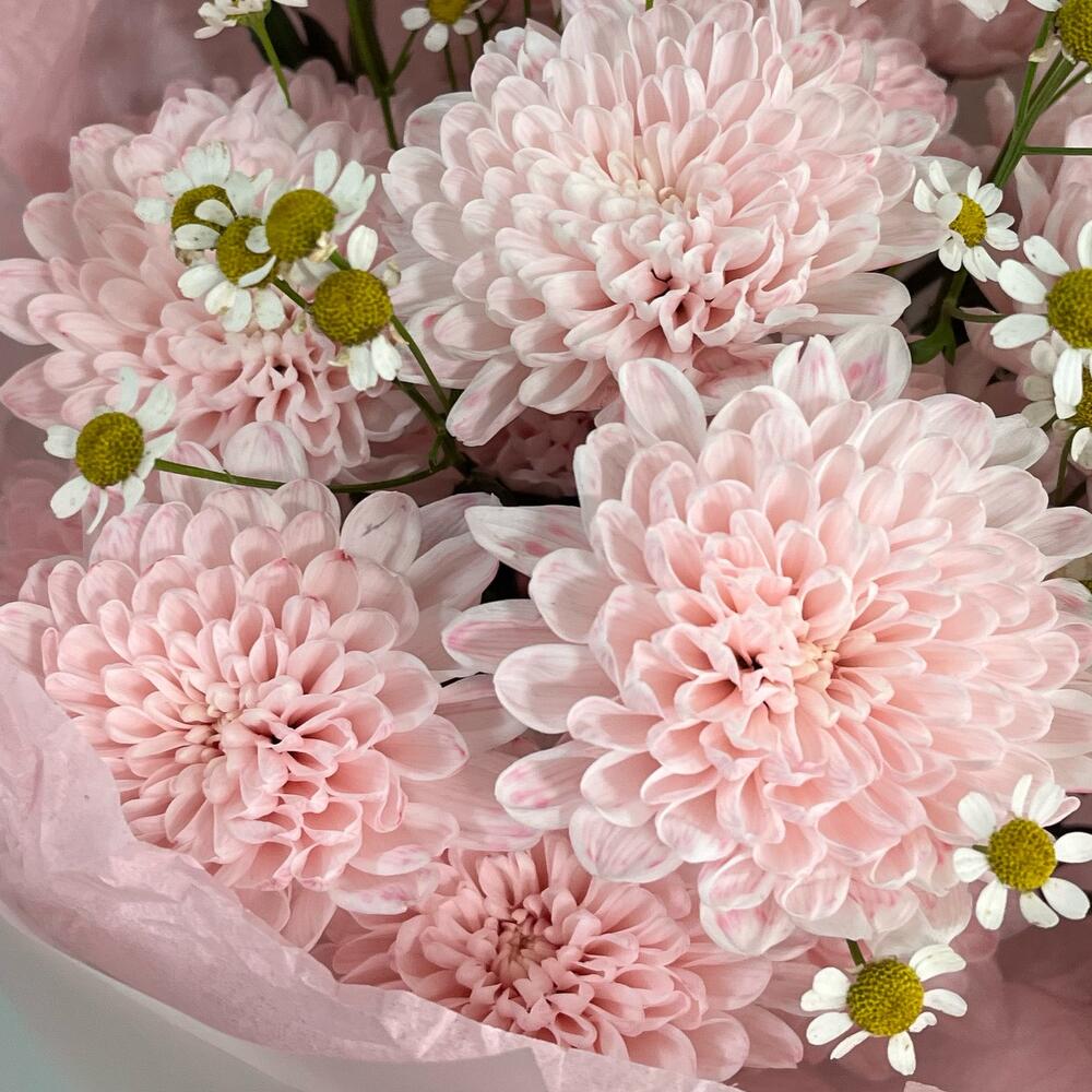 Нежный букет из Ромашек и Хризантем 🌸🌼