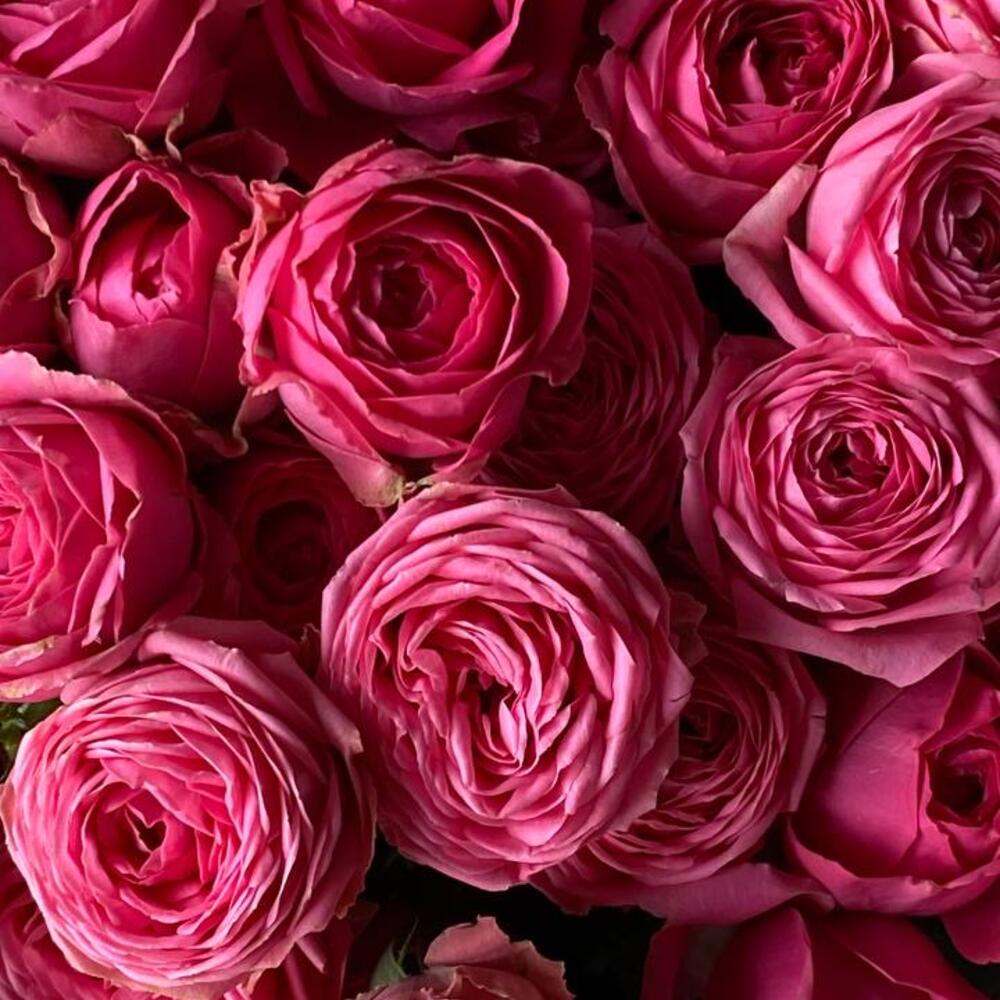 Букет "divine roses"