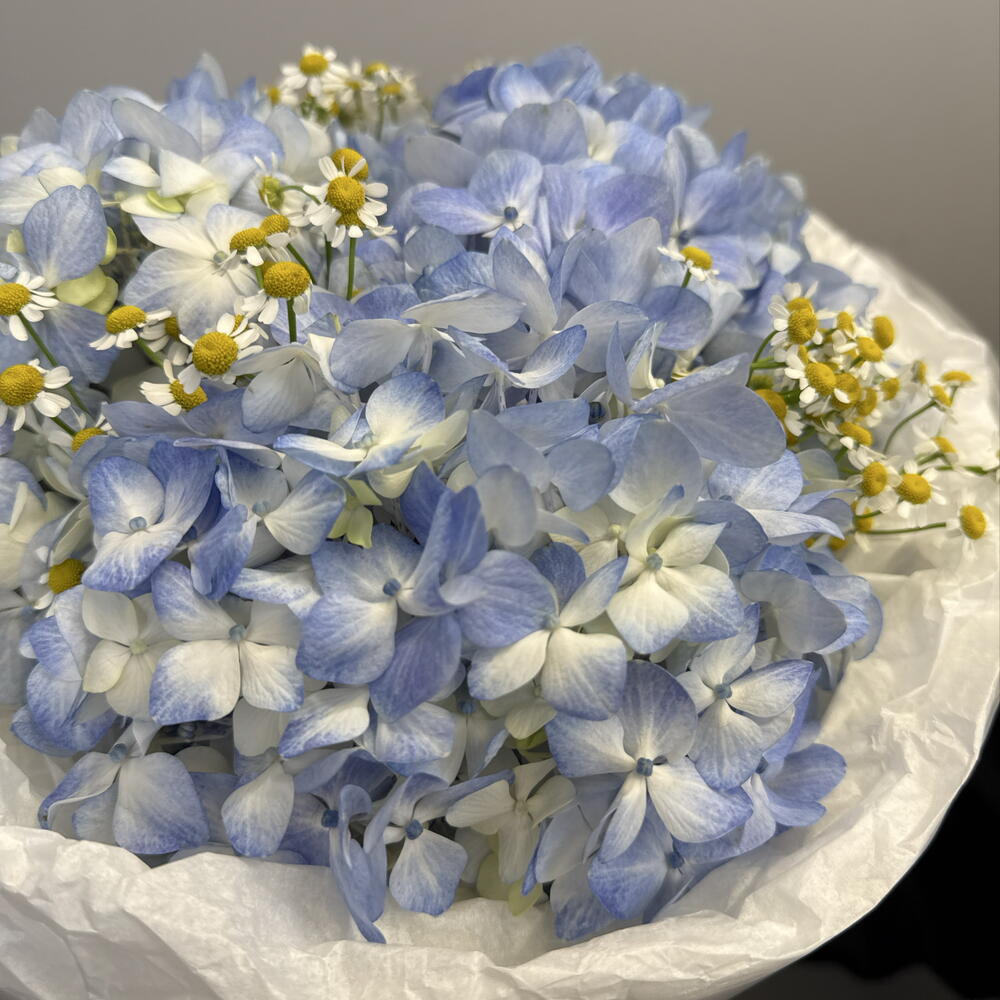 Авторский букет с гортензией и ромашками🌼