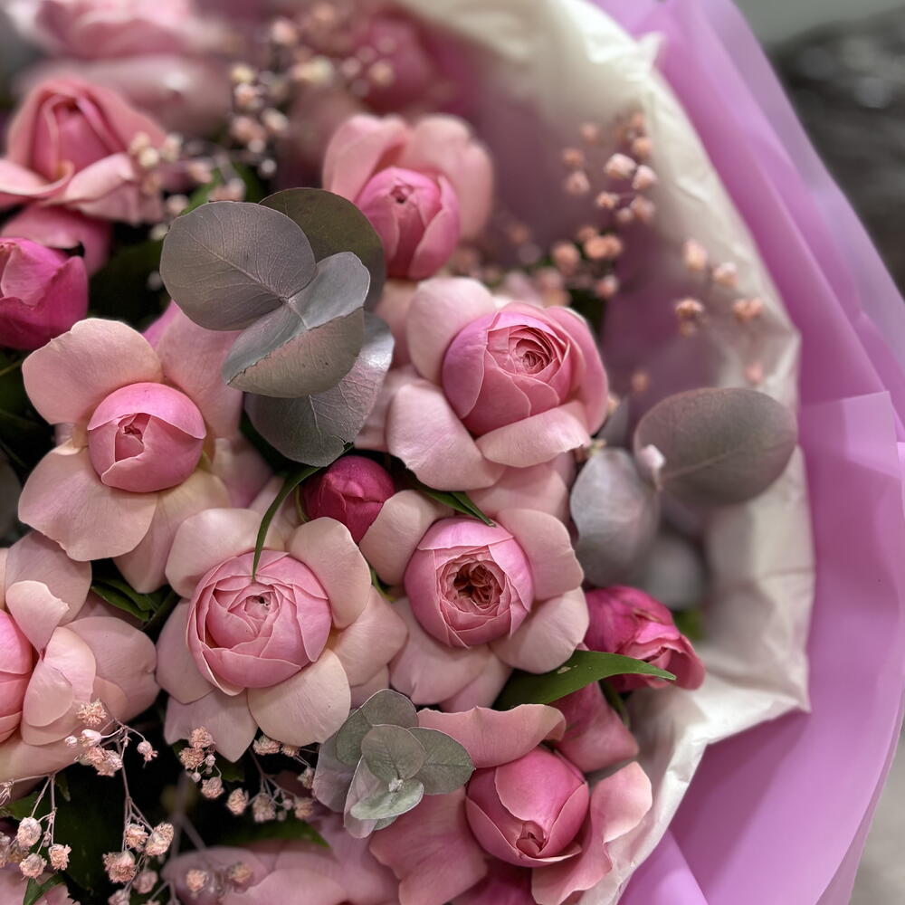 QQ roses
