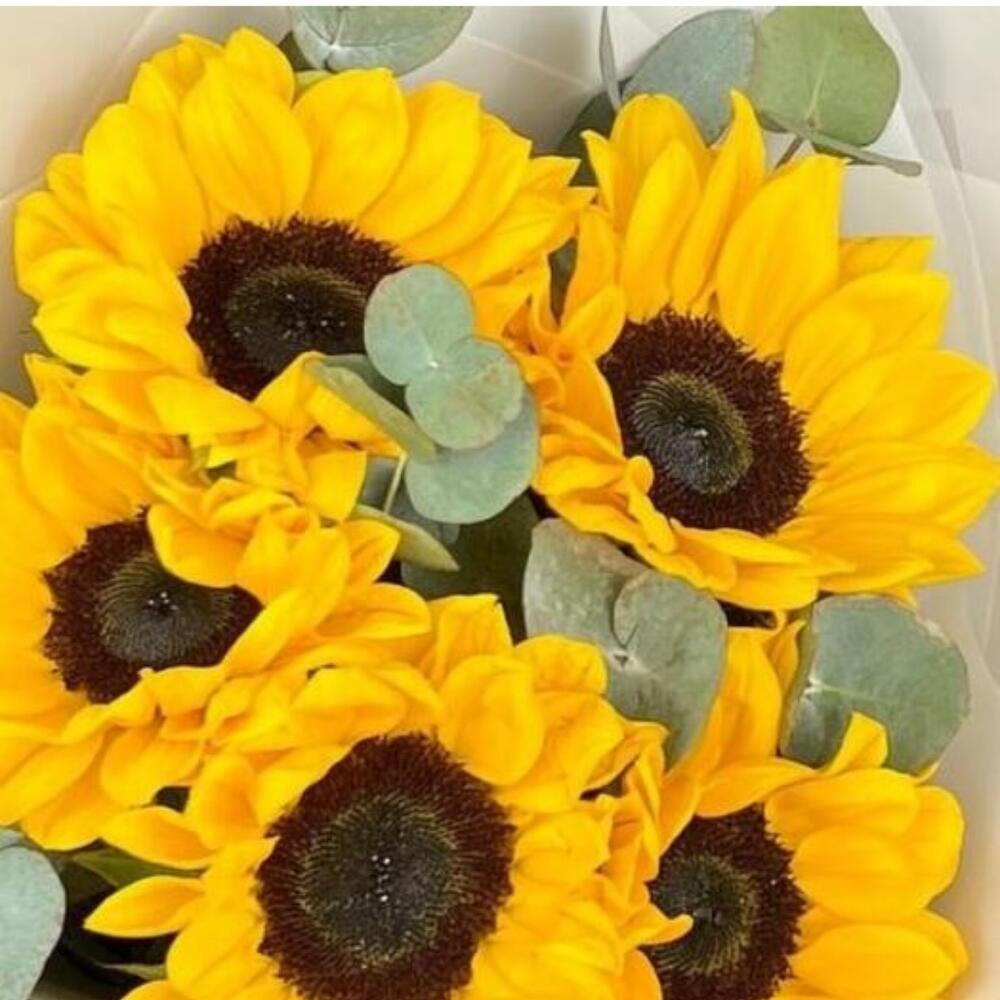 Солнечная радость: букет с подсолнухами