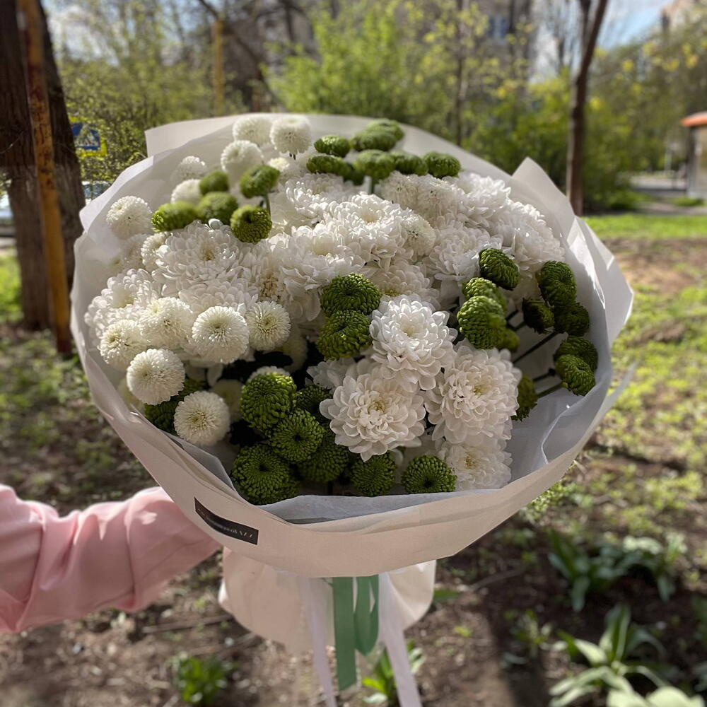 Моно хризантем