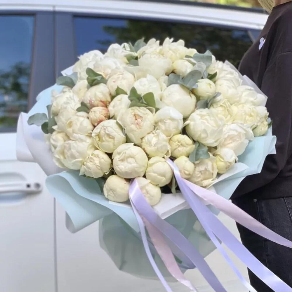 ПИОНОМАНИЯ 🤍51 белый пион 😍Белые пионы