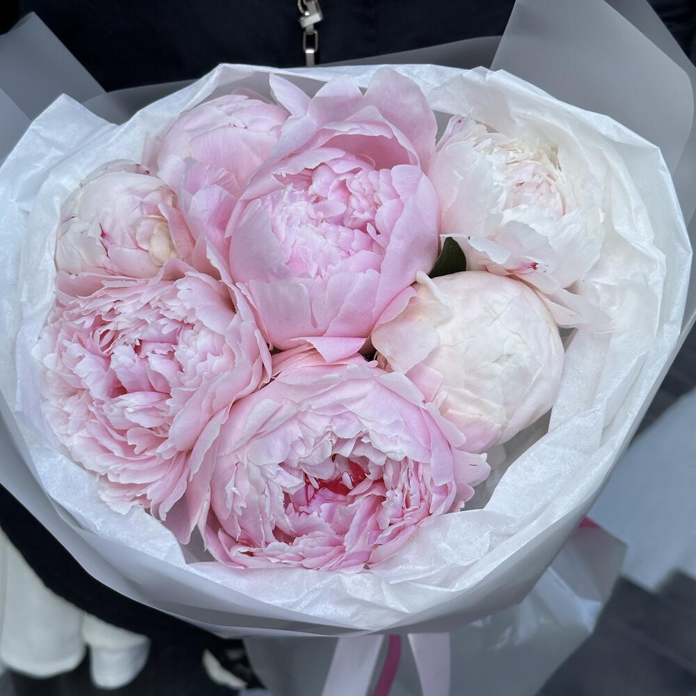 Букет пионов Сара 7 шт🌸