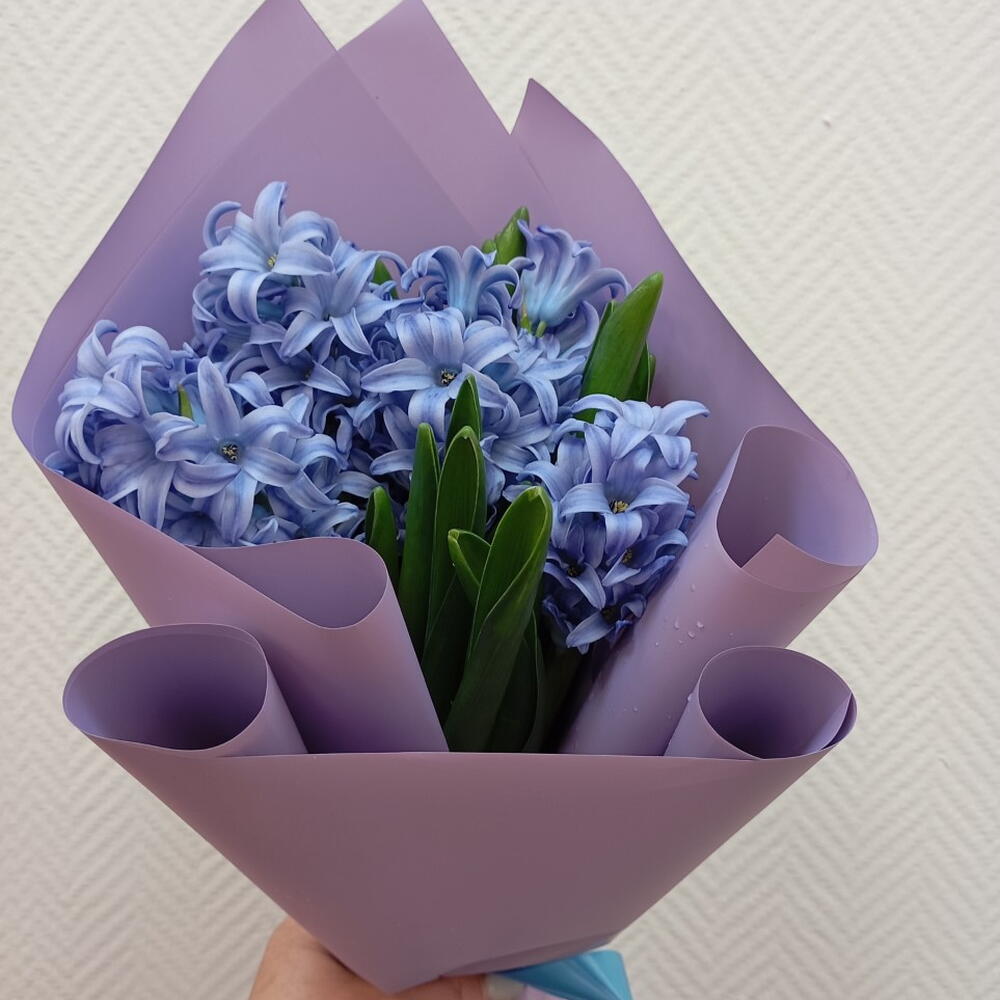 Букет из 5 Гиацинтов  🌸🌸🌸
