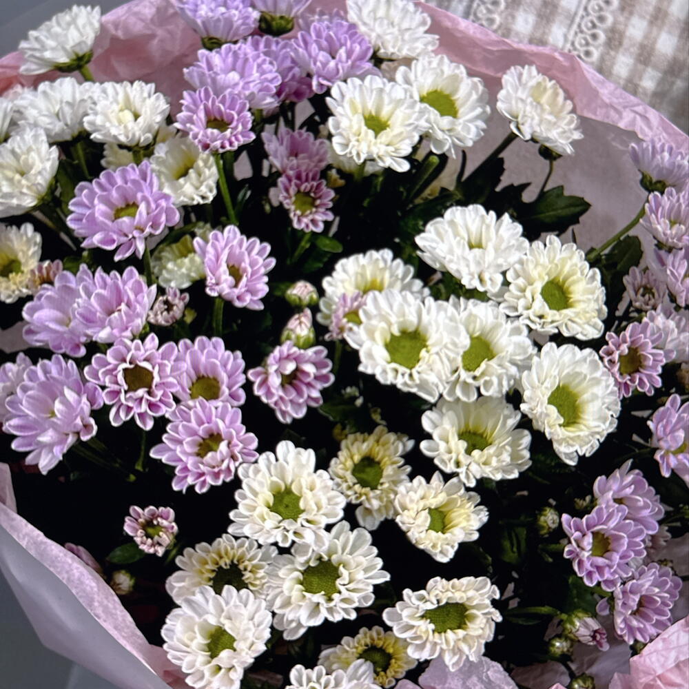 Дуо букет из белых и розовых сантини (49-0508)