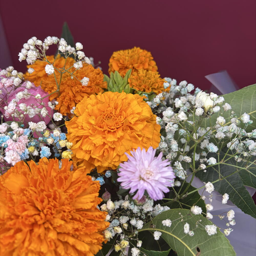 Розовый сад