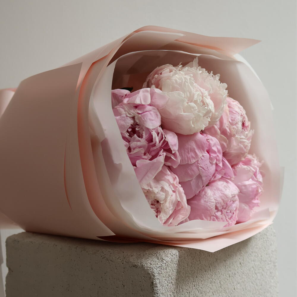 PEONY