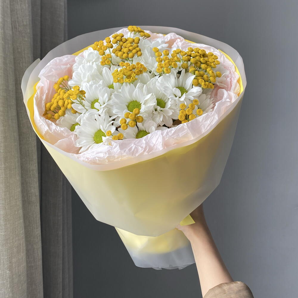 Солнце