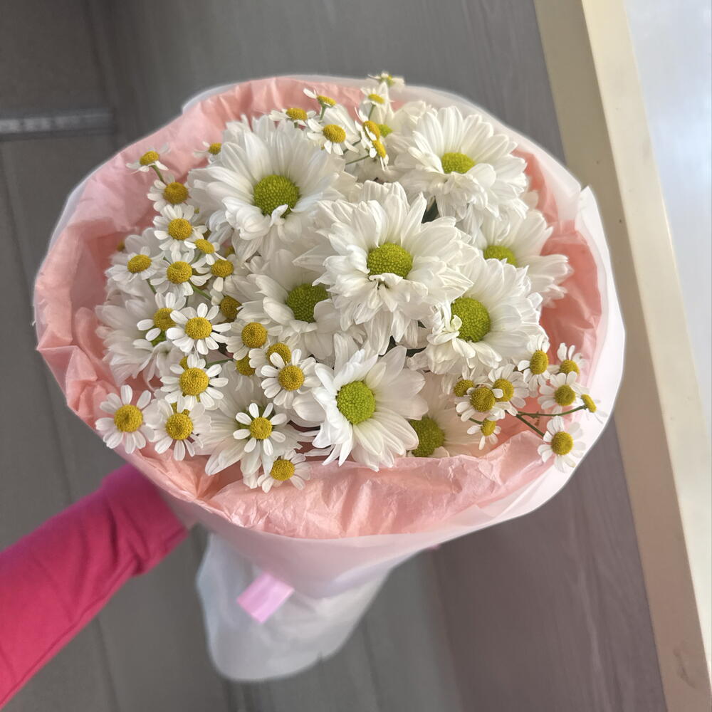 🎀с ромашками