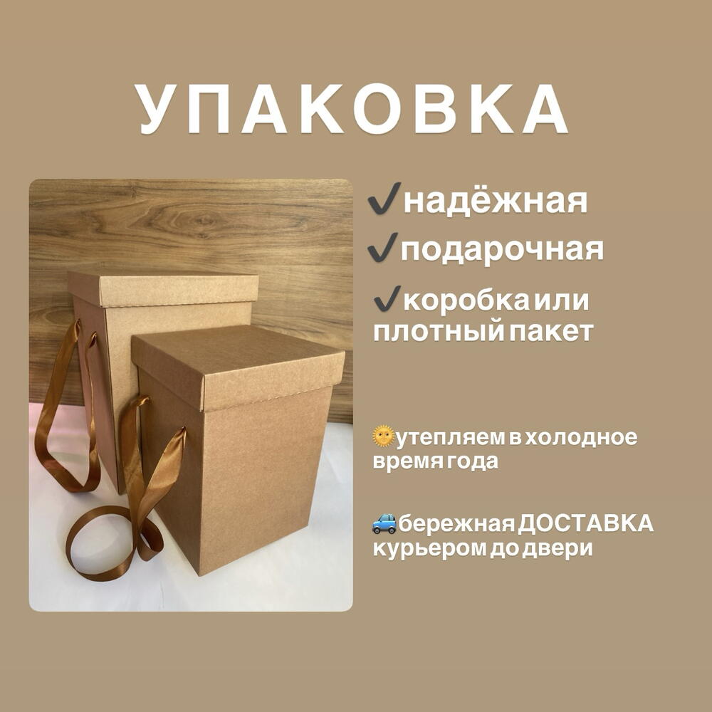 Флорариум «Икосаэдр» для девушки подарок