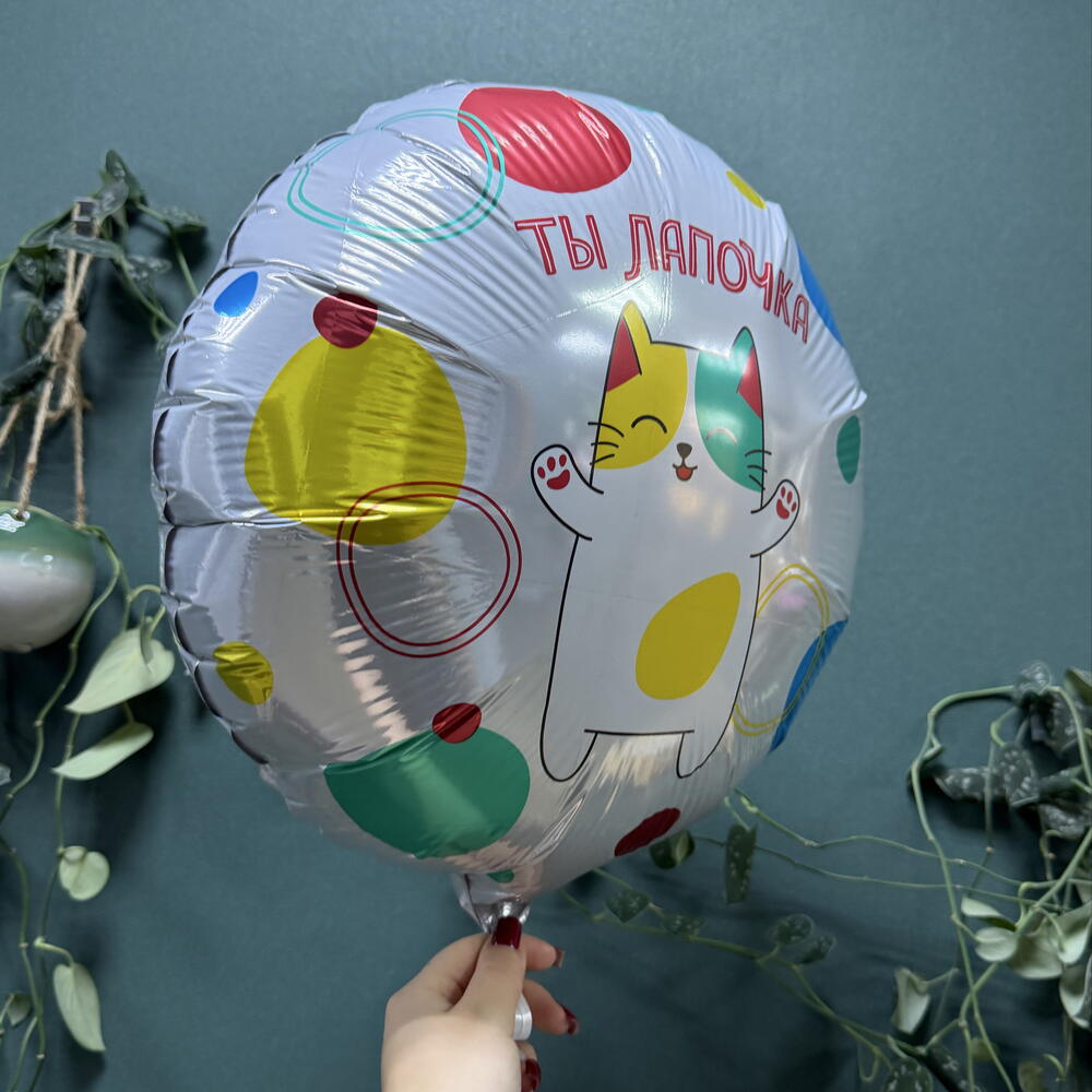 Шар «ты лапочка»
