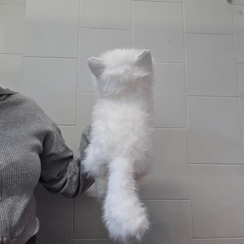 Мягкая игрушка кот , музыкальная игрушка