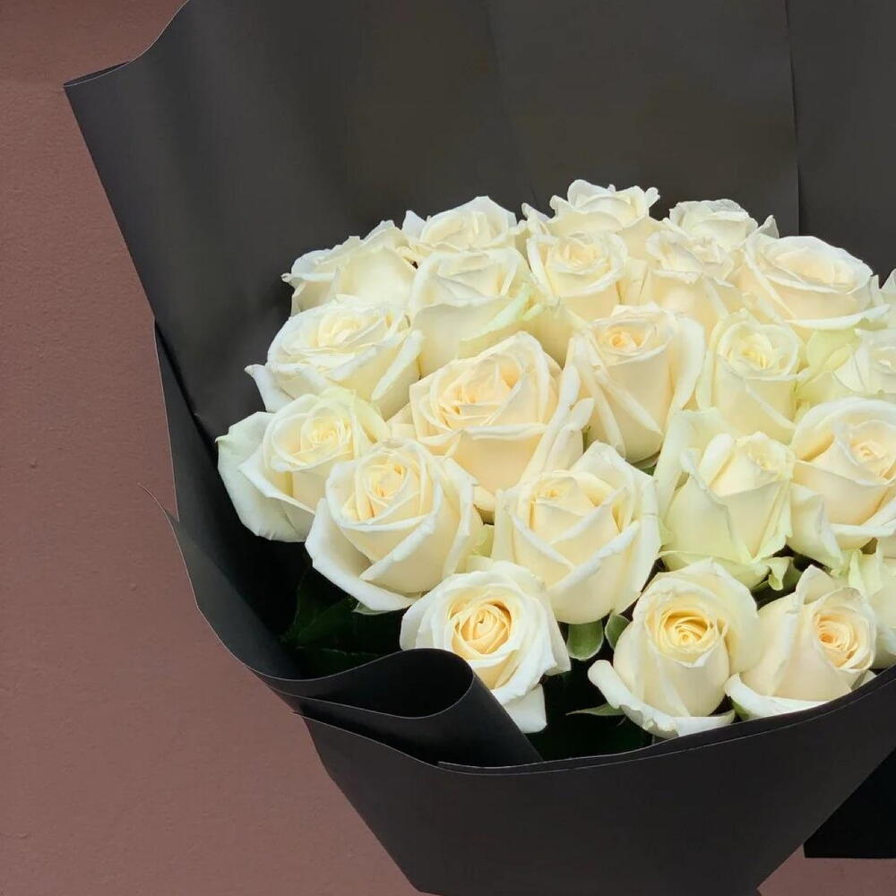 White Rose