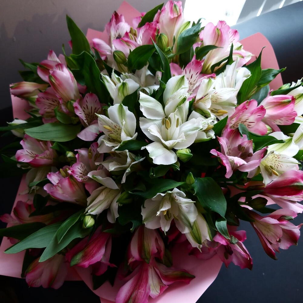 Bouquet of Alstroemeria