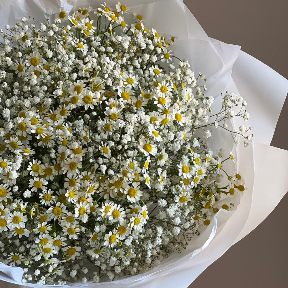 Пышный летний букет Ромашки