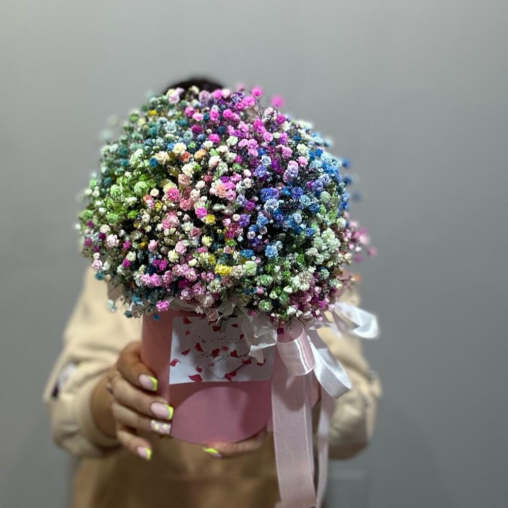 Gypsophila en Caja