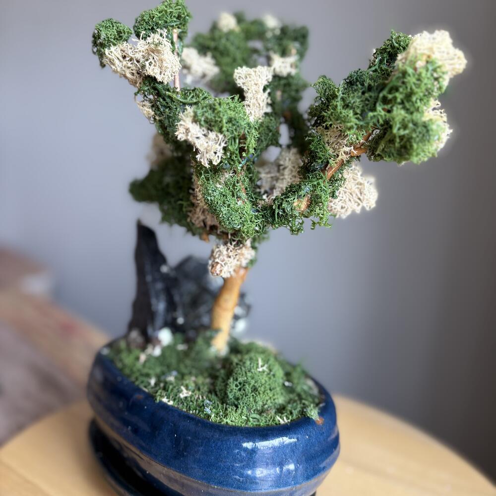 Бонсай из стабилизированного мха Forrest