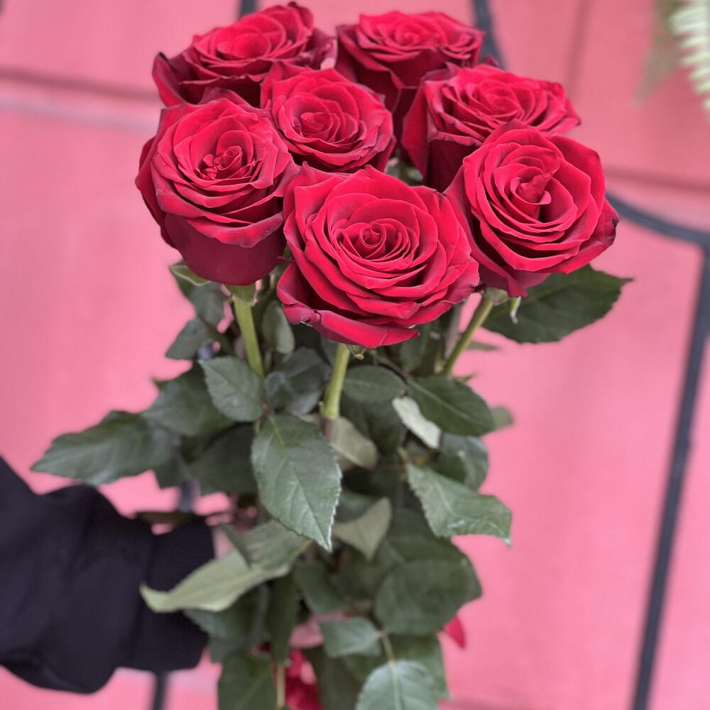 Bouquet of 7 burgundy Ecuadorian roses
