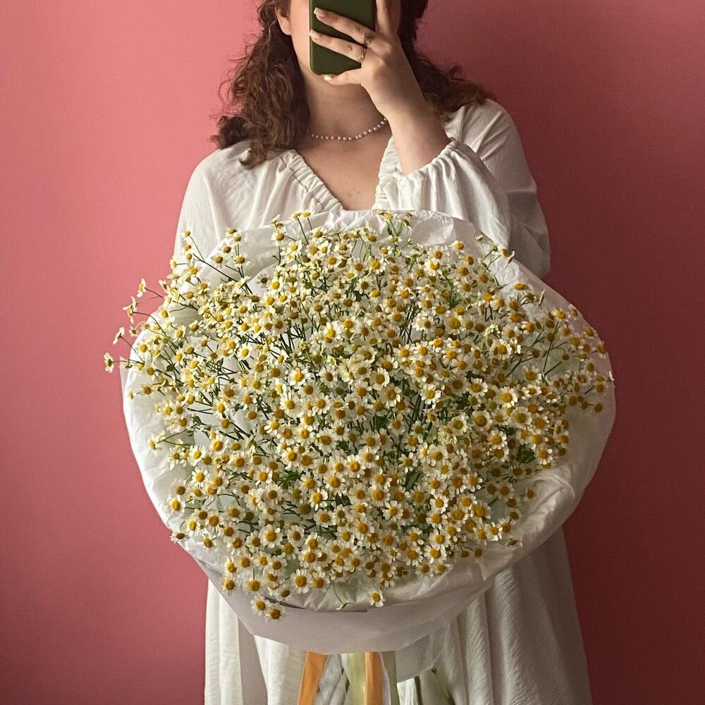 Букет 15 ромашек матрикария