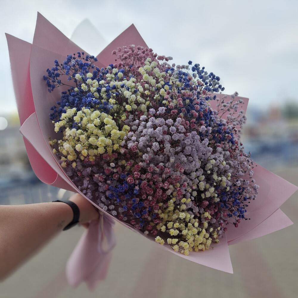 Гипсафила