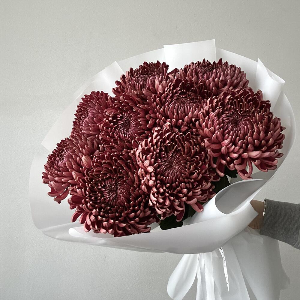 Хризантема Bigoudi Red