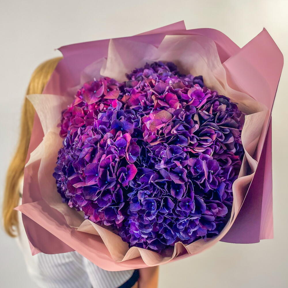 Lilac hydrangea