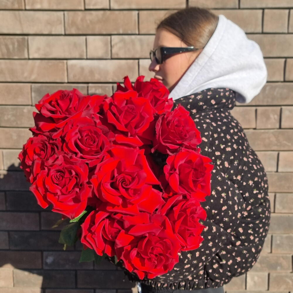 Роза Эксплорер 15 шт