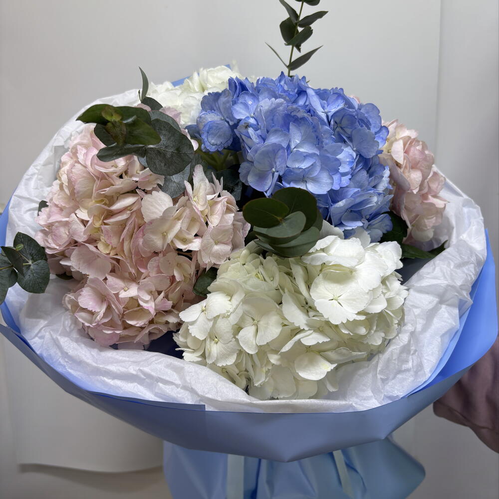 Bouquet of hydrangeas
