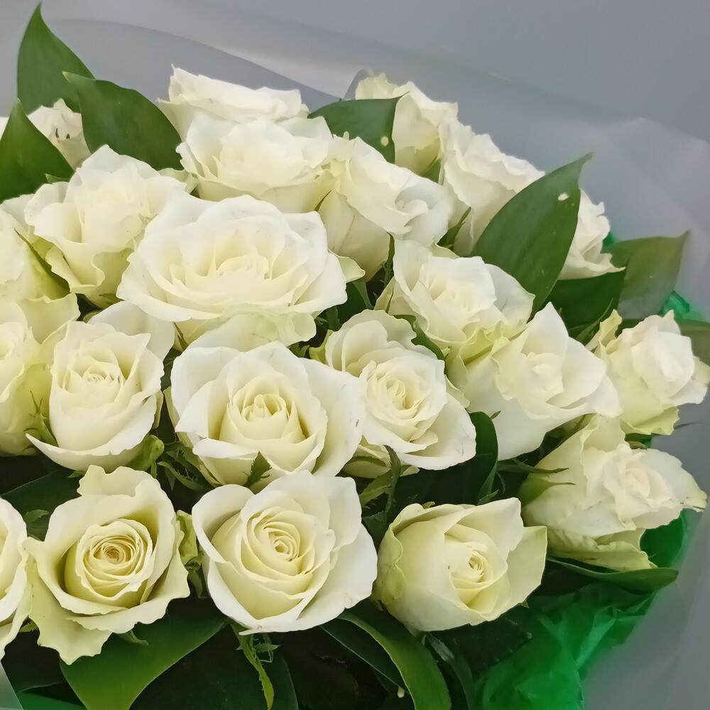 25 белых роз с зеленью