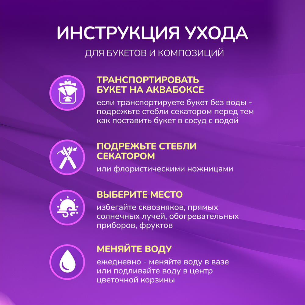 3 голубые Гортензии