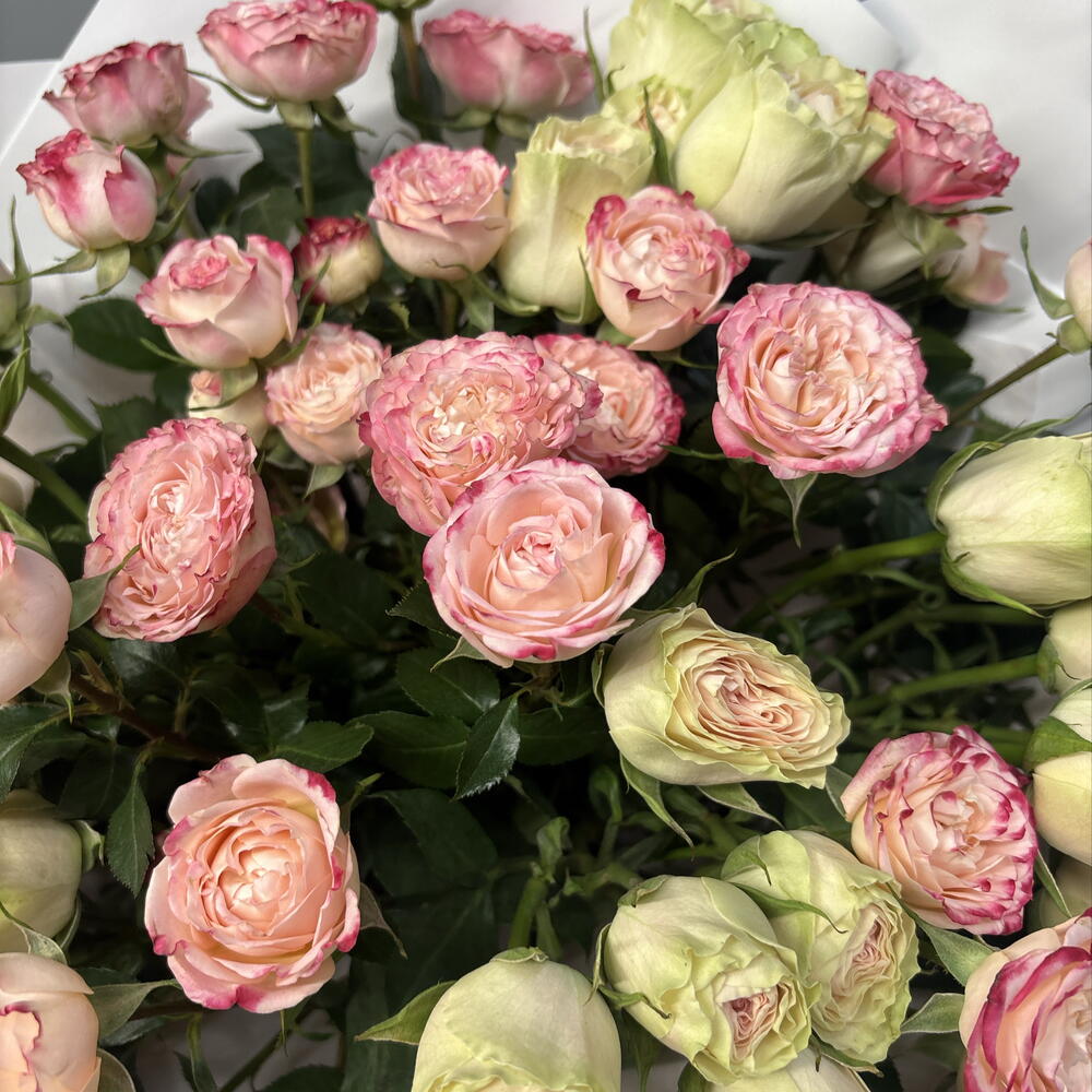 Для самой важной 🌺🤍