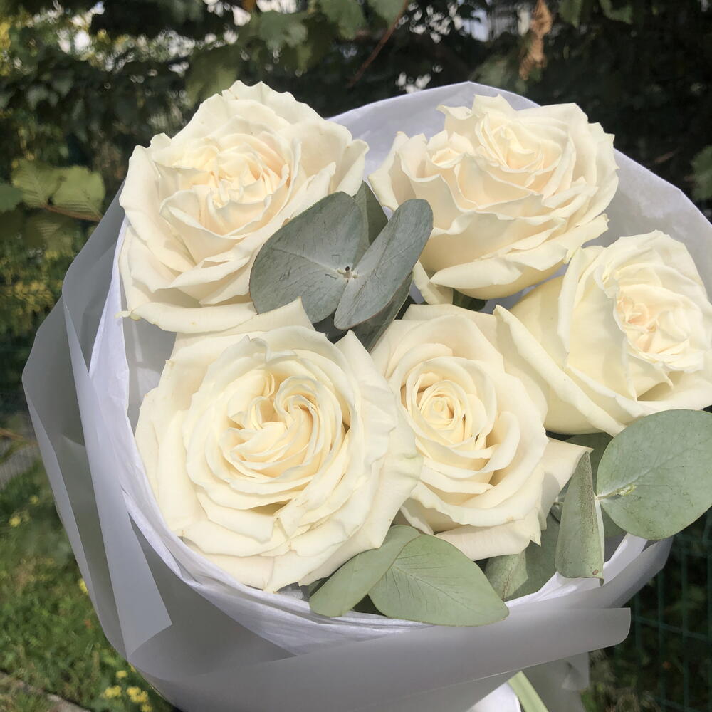 🤍Белые розы букет Bloom Room
