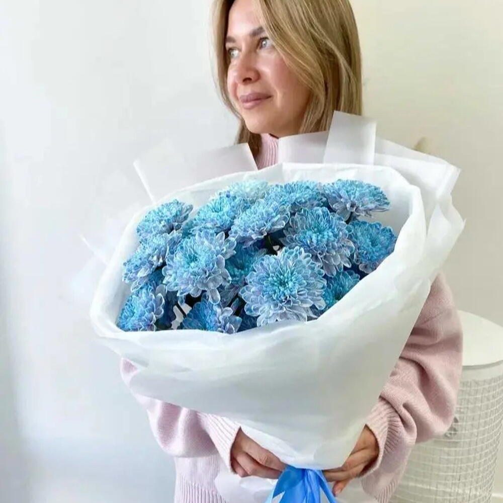 Сизая хризантема