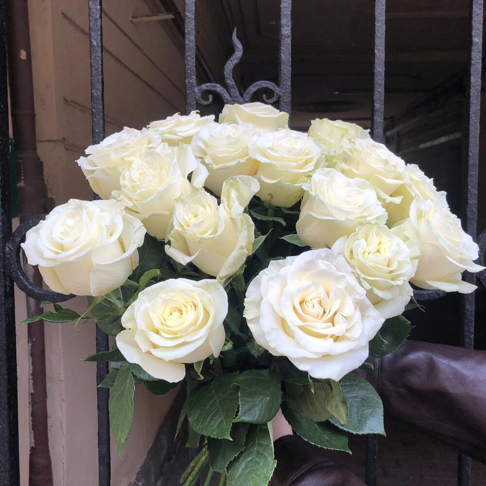 Белые розы 17 шт