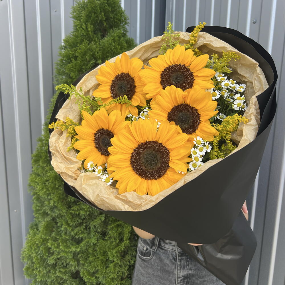 Подсолнух 🌻