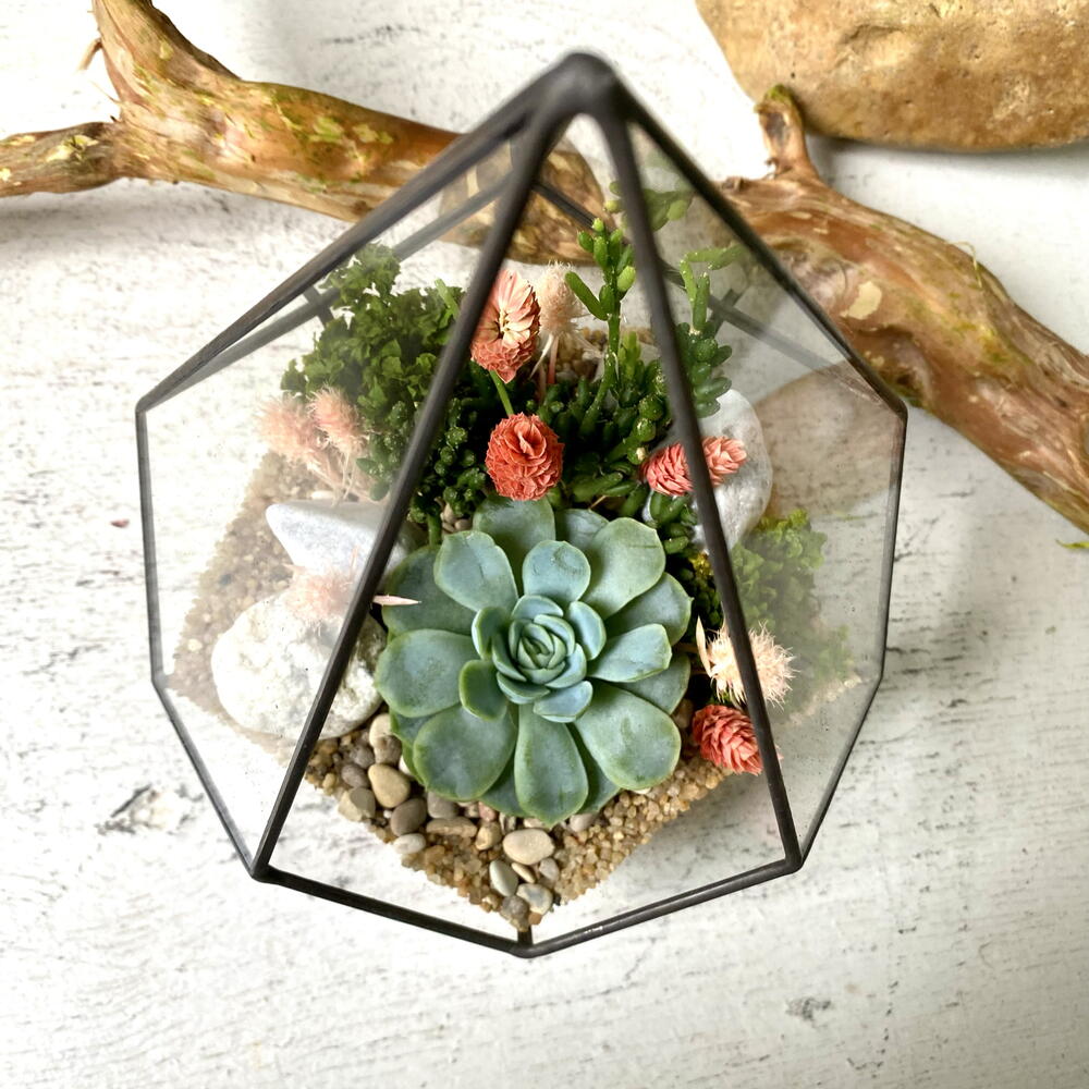 Florarium"Gota"