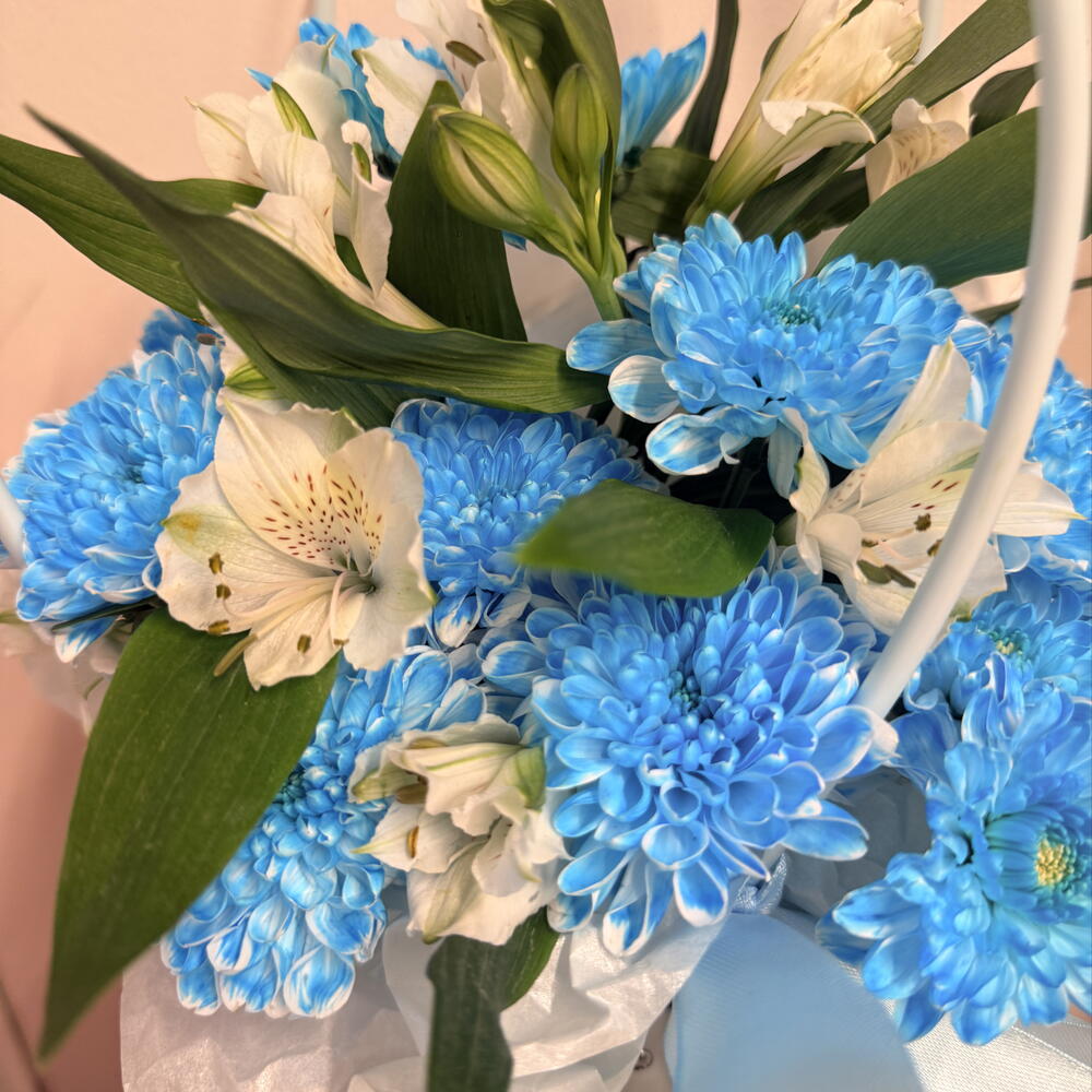 Ice Blue