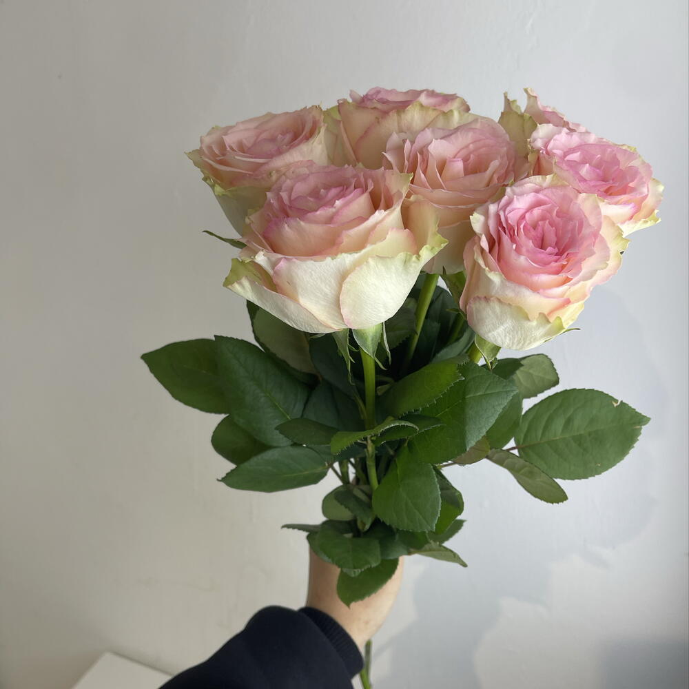 Розы нежные 🌸7